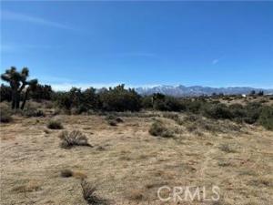 MLS #PW26136159 image #0