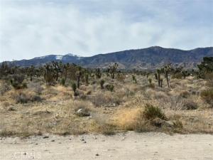 Mono Road Lot 42 Pinon Hills CA 92372 | MLS #PW26154467 45 MLS #PW26154467 image #0