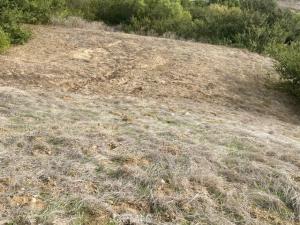 MLS #PW26165342 image #0