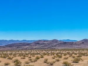 broker reciprocity