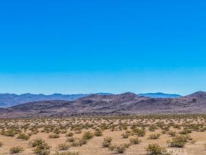 54 Fascination Avenue Joshua Tree CA 92252 | MLS #PW26184679 45 MLS #PW26184679 image #0