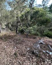 MLS #PW26195486 image #0