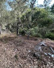 MLS #PW26195486 image #0