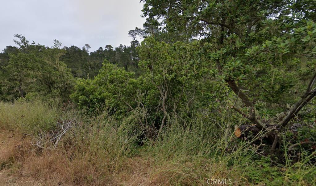 MLS #PW26199486 image #0