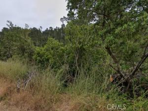 MLS #PW26199486 image #0
