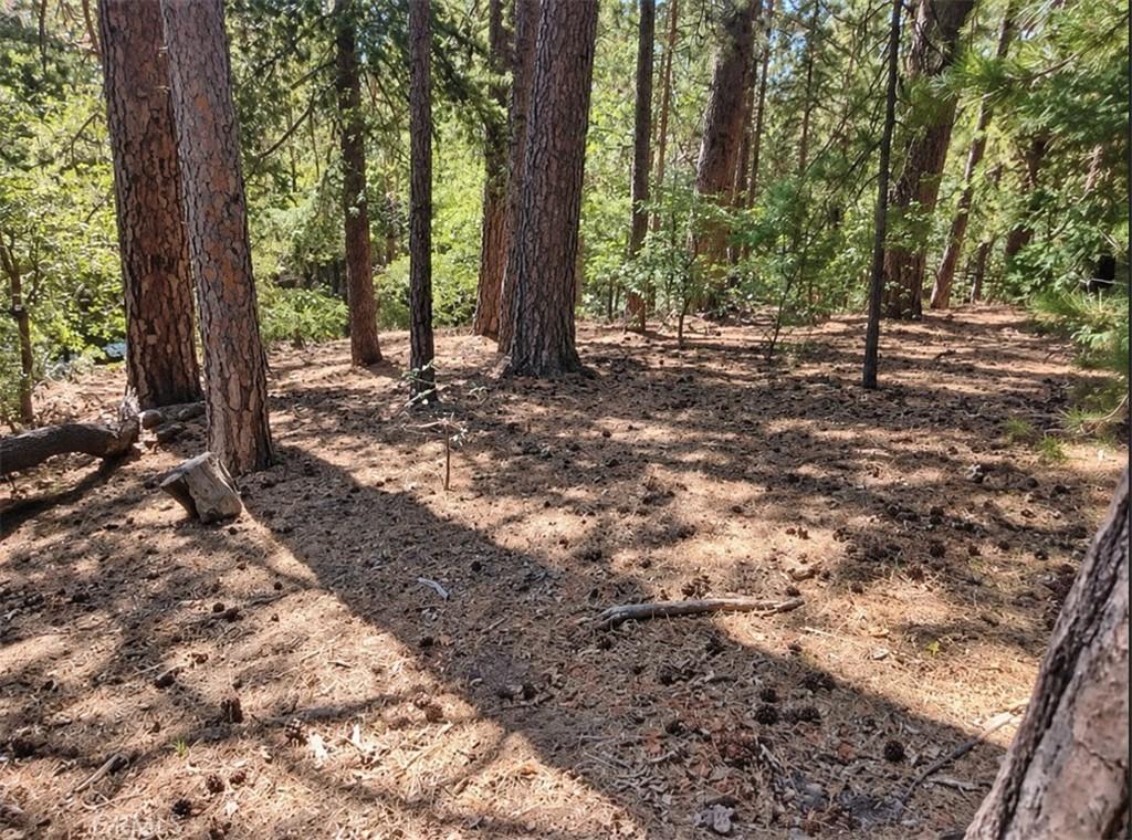 MLS #PW26219499 image #0