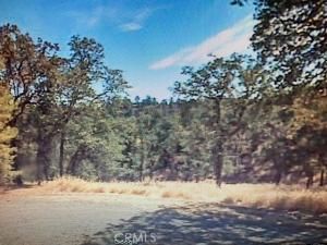6989 Horseshoe DR Corning CA 96021 | MLS #RS23090698 41 MLS #RS23090698 image #0