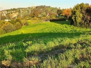 MLS #RS25165714 image #0