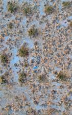 MLS #RS25185171 image #0