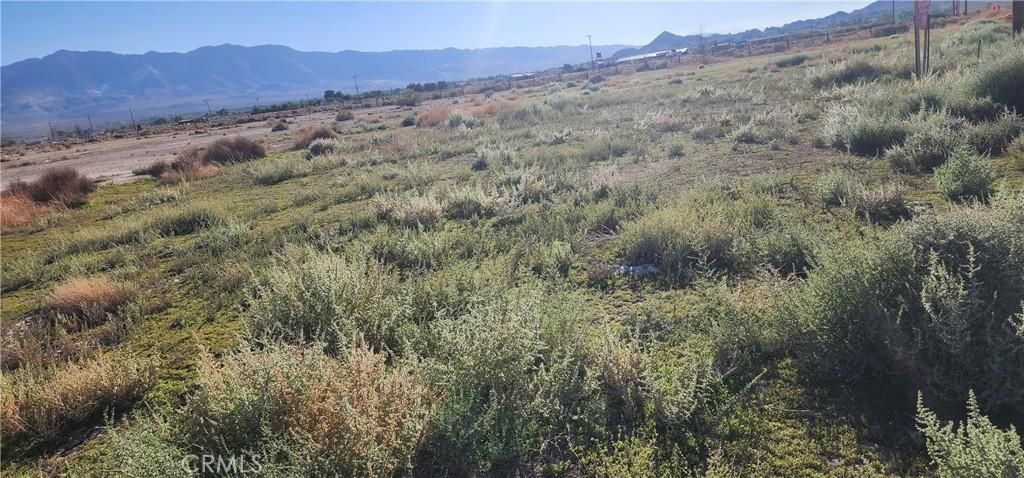 MLS #RS25232464 image #0