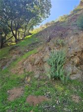 MLS #RS25253328 image #0