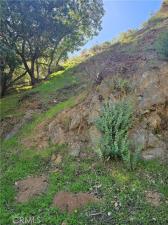 MLS #RS25253328 image #0