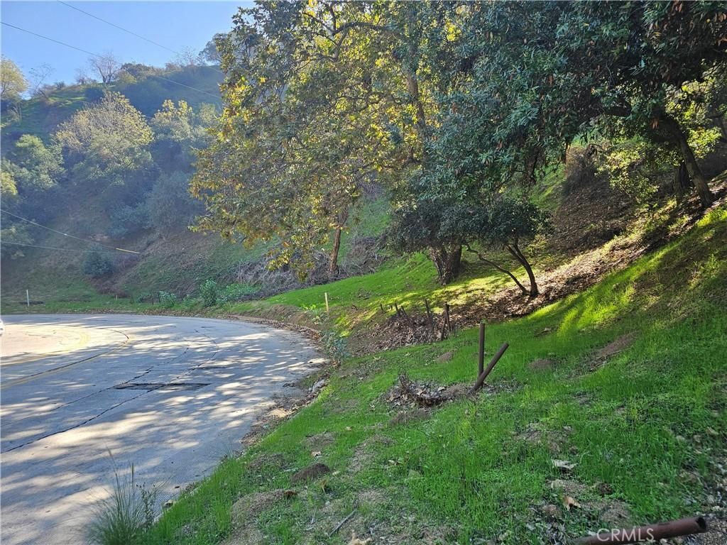 MLS #RS25253330 image #0