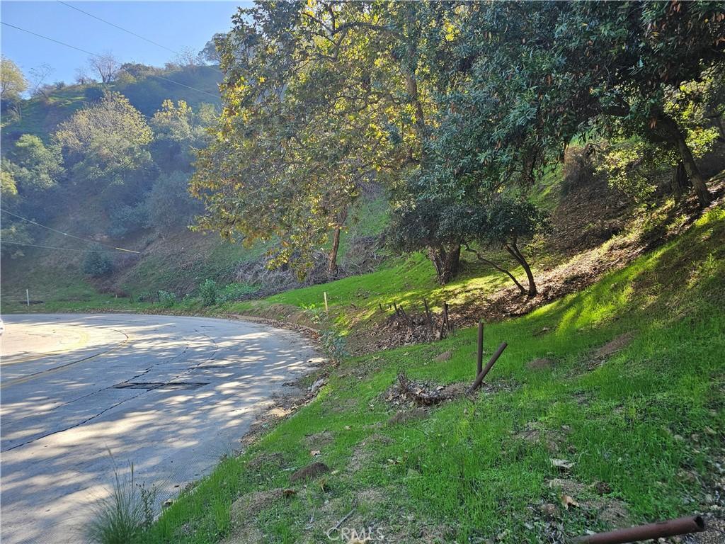 2161 Laurel Canyon BL Los Angeles CA 90046 | MLS #RS25253330 41 MLS #RS25253330 image #0