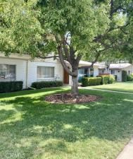 MLS #RS25254749 image #0