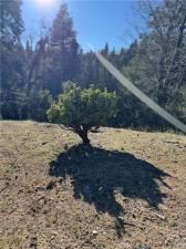 MLS #RS26006997 image #0