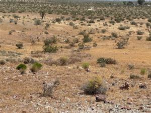 MLS #RS26081511 image #0