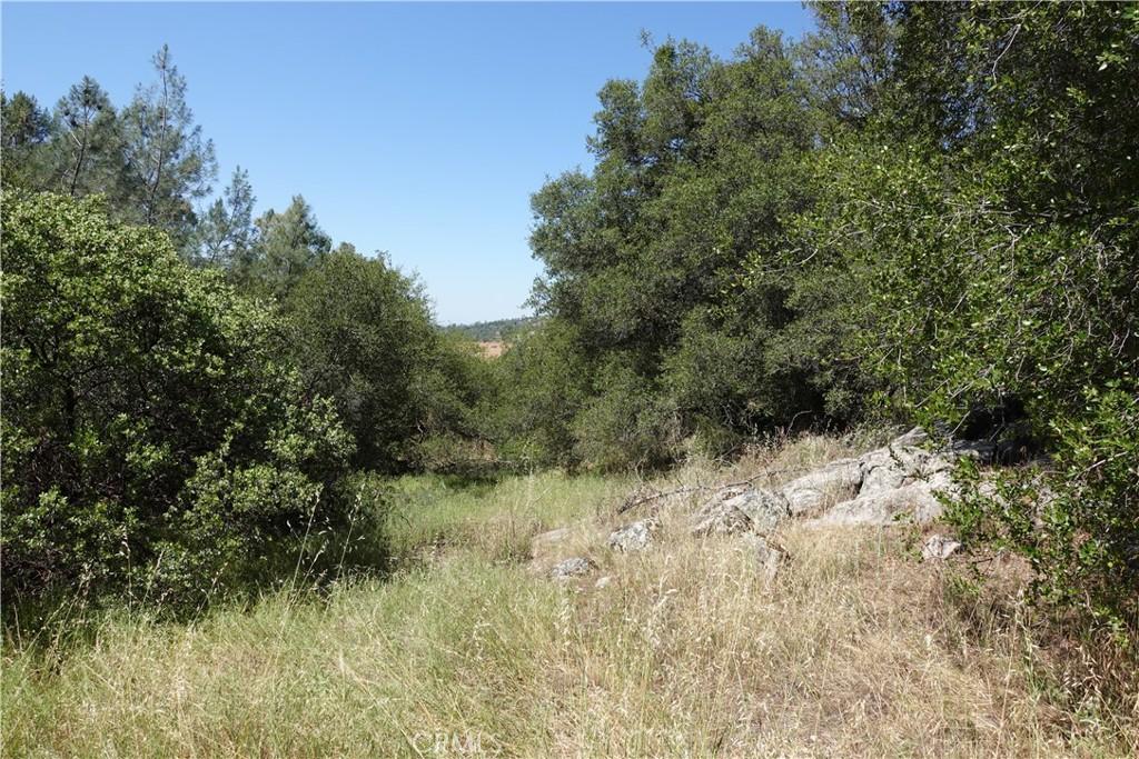 MLS #RS26097835 image #0