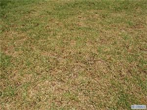 MLS #S701902 image #0