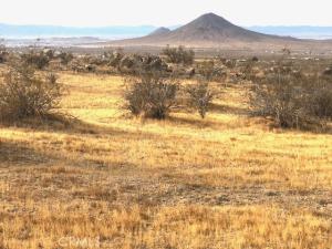 Sapota Road Apple Valley CA 92307 | MLS #SB24248216 41 MLS #SB24248216 image #0