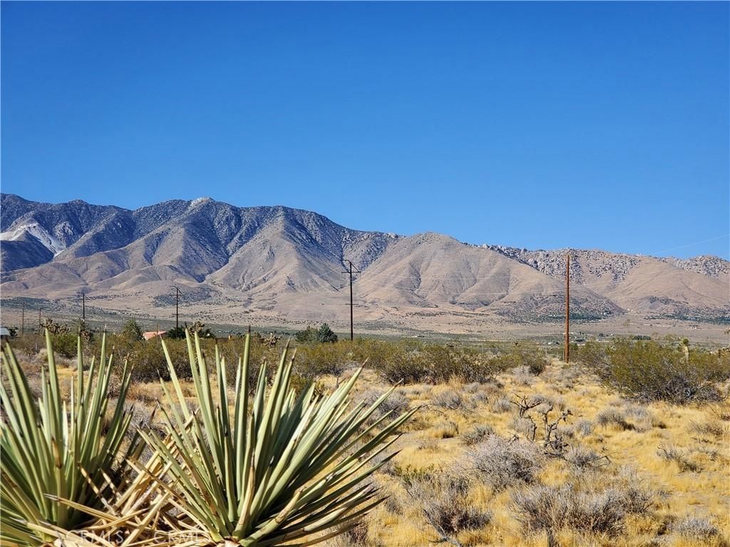 MLS #SB25114348 img 0