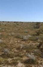 MLS #SB25135241 image #0