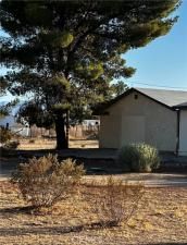 MLS #SB25136590 image #0