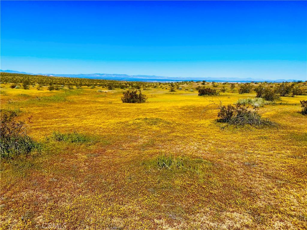 MLS #SB26040852 image #0