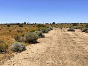 MLS #SB26165517 image #0