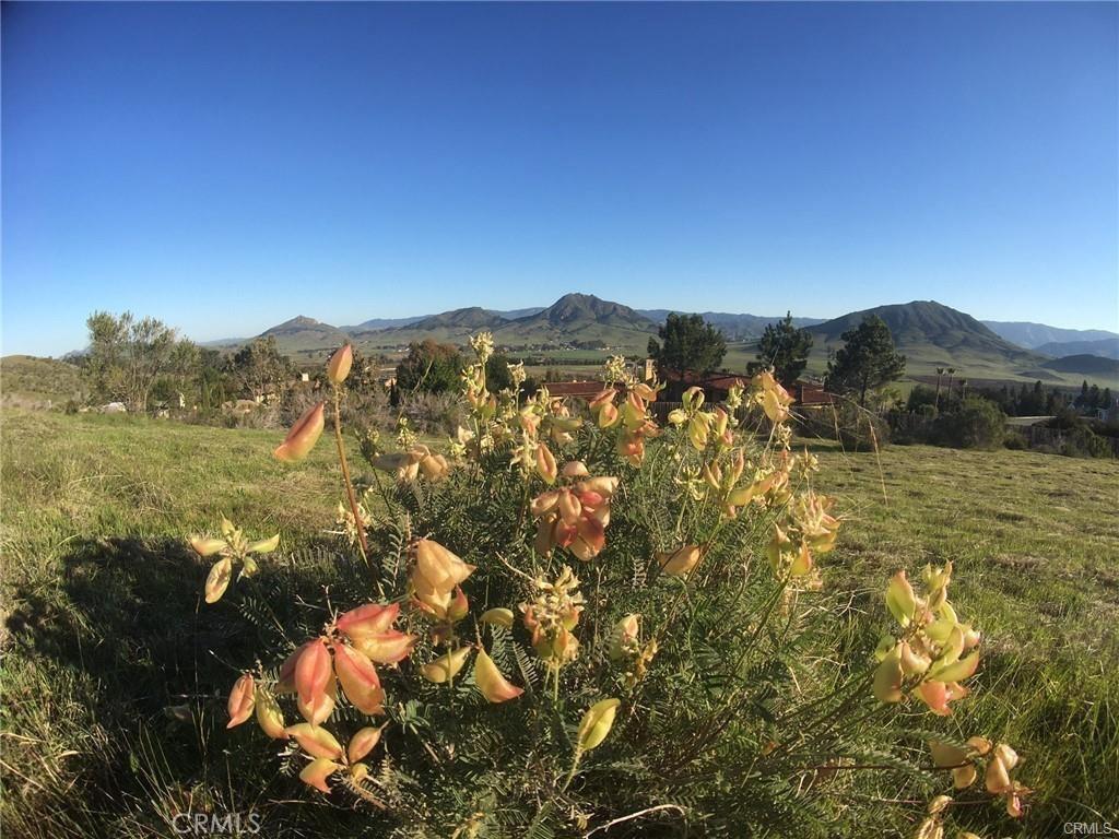 MLS #SC23187225 image #0