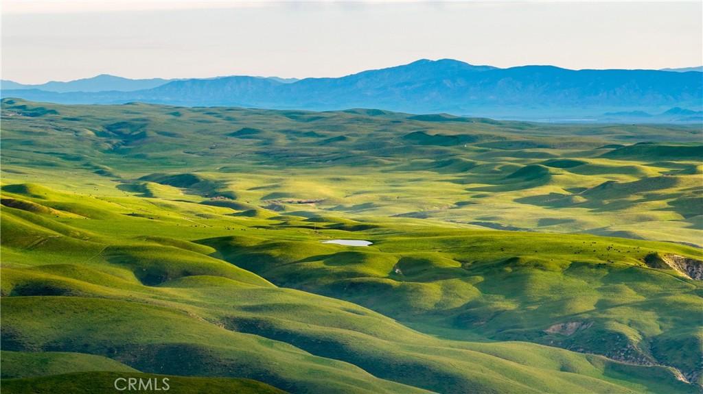 MLS #SC25108698 image #0