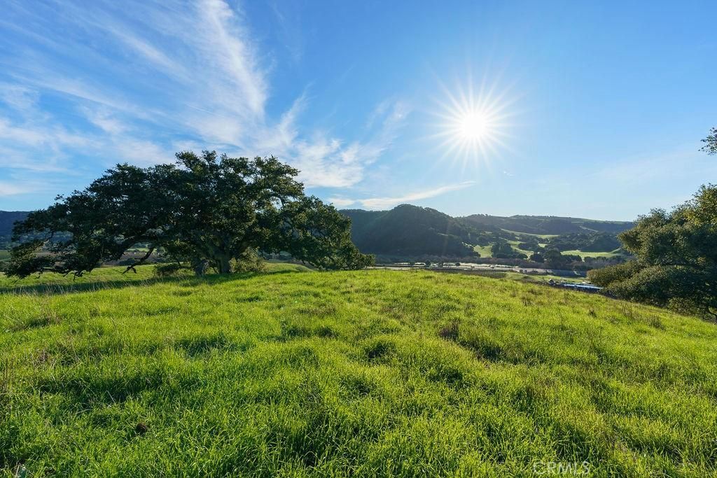 MLS #SC25113286 image #0