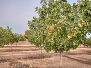 MLS #SC25163691 image #0