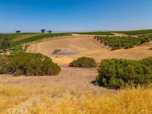 MLS #SC25164428 image #0