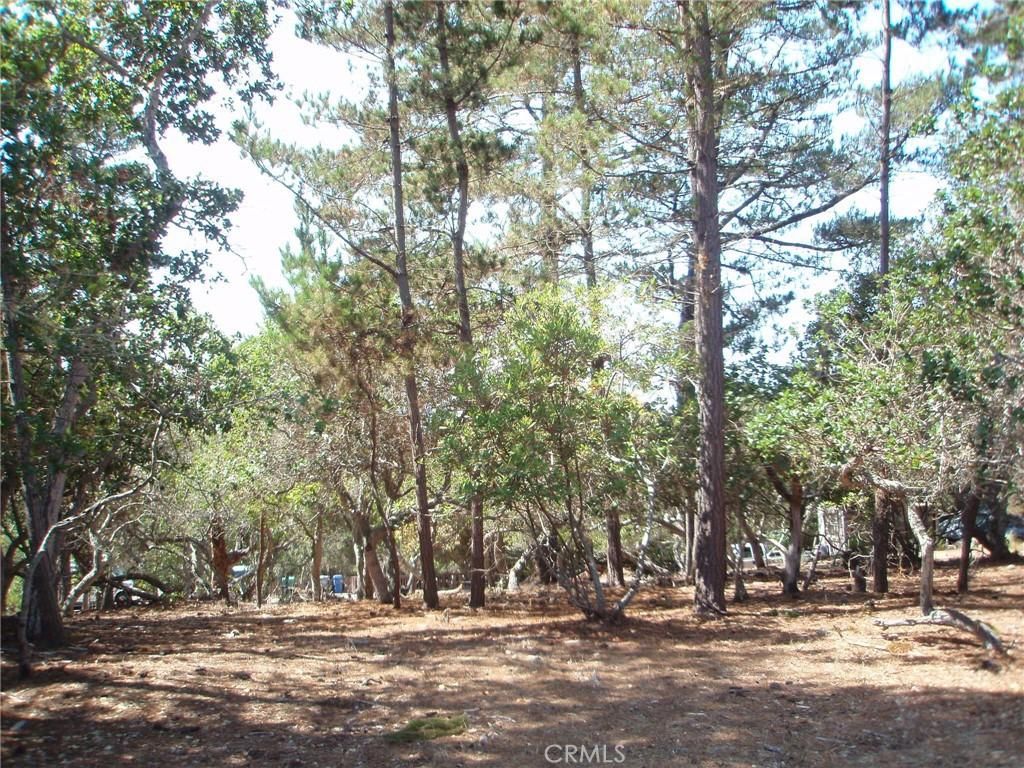 MLS #SC25174055 image #0