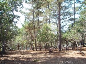 MLS #SC25174055 image #0