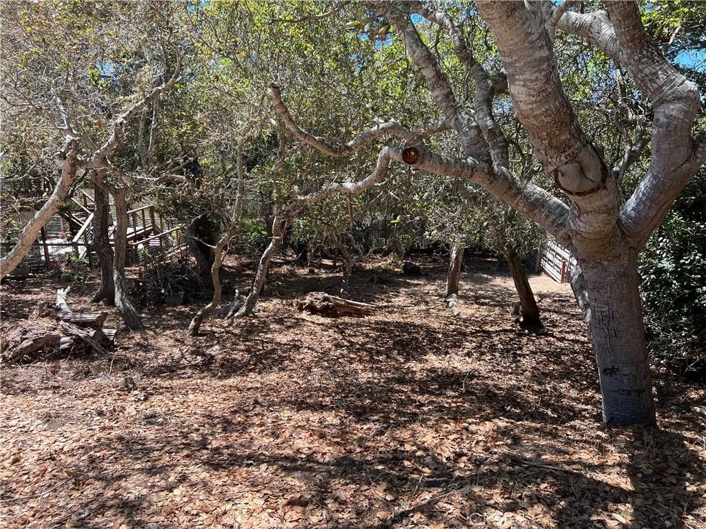 MLS #SC25186524 image #0