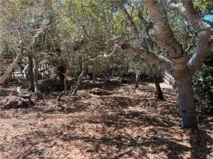 MLS #SC25186524 image #0