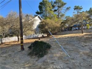 MLS #SC25198709 image #0