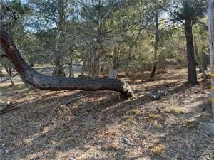 MLS #SC25198719 image #0