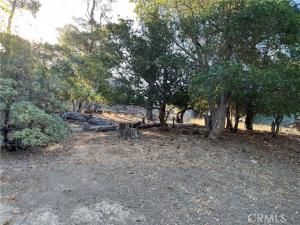 MLS #SC25198742 image #0