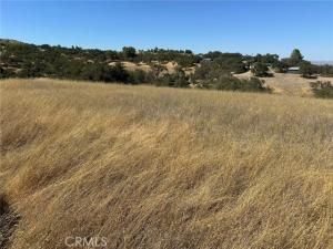 MLS #SC25217476 image #0