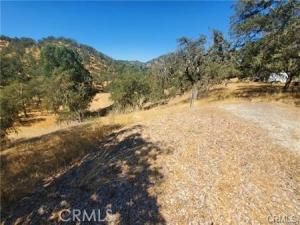 MLS #SC25236278 image #0