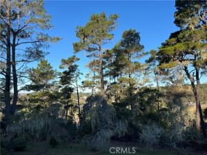 MLS #SC25250182 image #0
