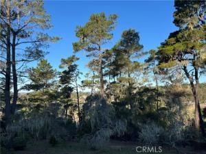 MLS #SC25250182 image #0