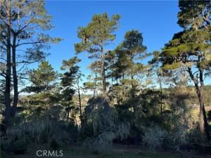 MLS #SC25250182 image #0