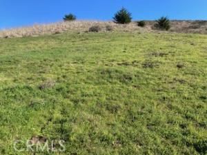 MLS #SC25251563 image #0