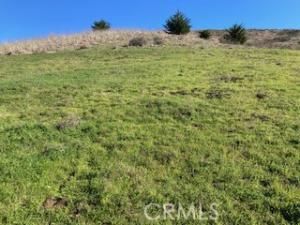 MLS #SC25251563 image #0