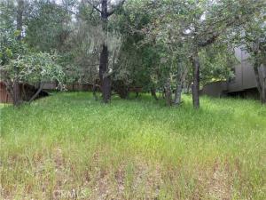 MLS #SC26031208 image #0