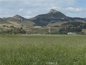 MLS #SC26093862 image #0